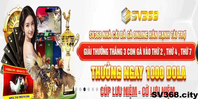 Giới thiệu tổng quan sơ lược về SV368 là gì